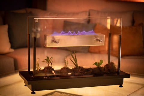 Chimenea Terrario