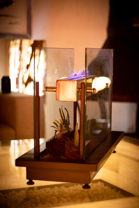 Chimenea Terrario