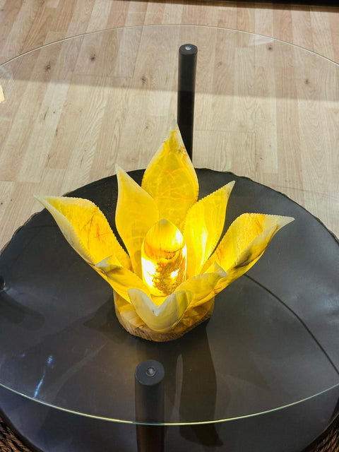 Mesa de centro agave