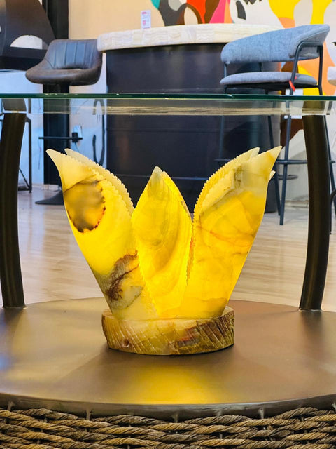 Mesa de centro agave