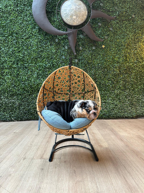 Columpio Xolo para Mascotas